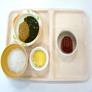 嚥下食Ⅴ